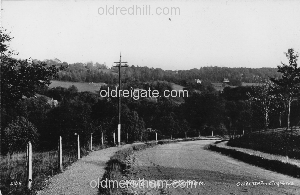 Image number 5825&prevurl=whitehill