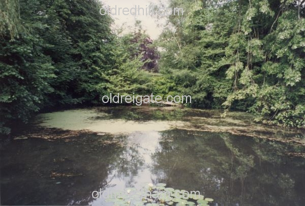 Image number 726&prevurl=year1993