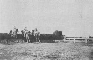 Image number 1910
